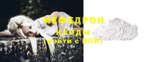 МДПВ Алапаевск