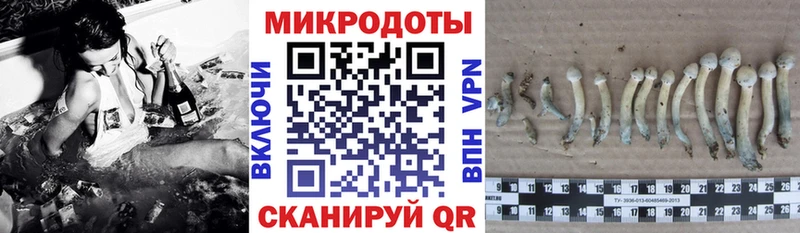 Купить где  Сурск  Галлюциногенные грибы GOLDEN TEACHER 